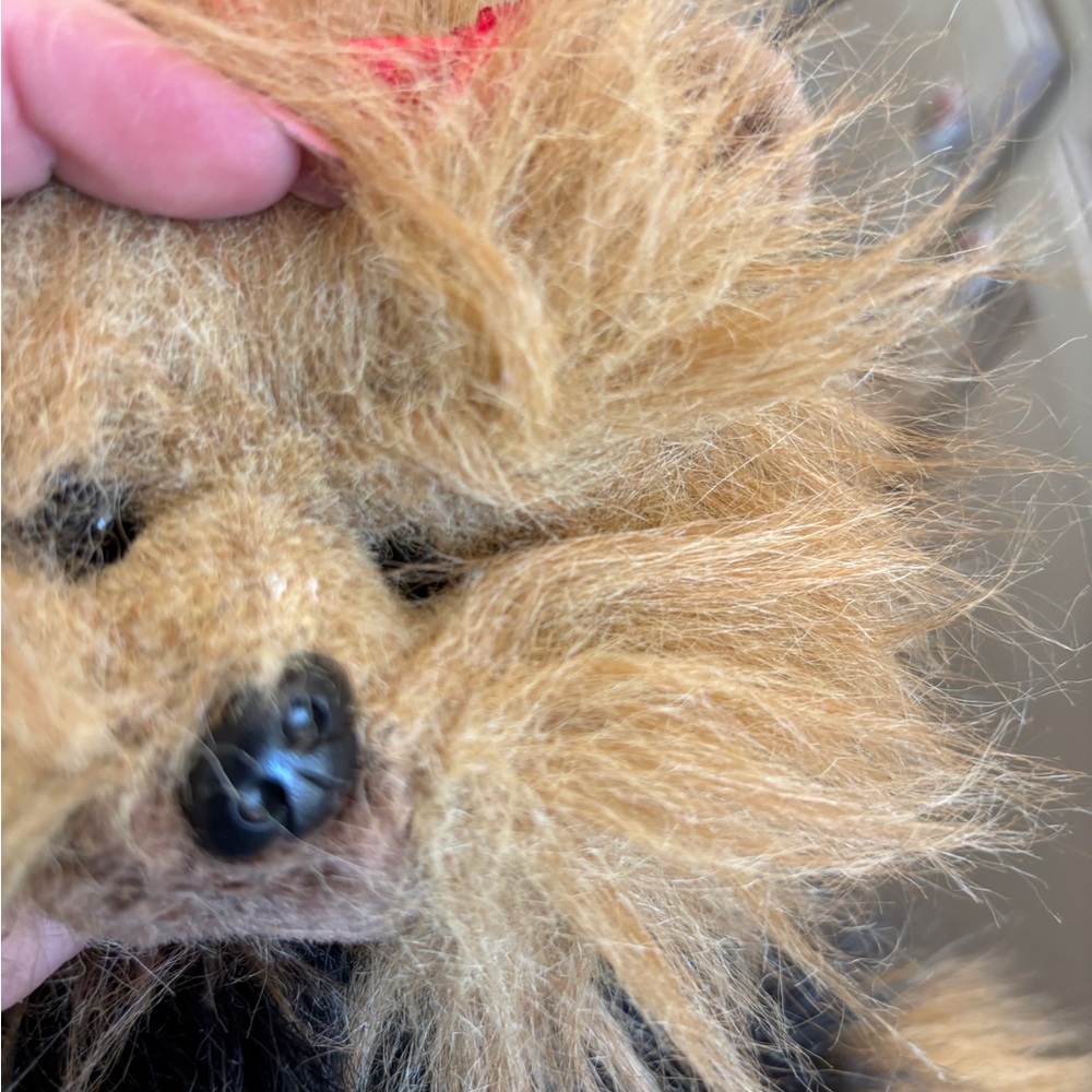 Ty Yappie the Yorkie Vintage 1987 Plush Stuffed Animal Dog - Picture 6 of 14